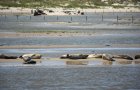 Das Wrack auf Norderney