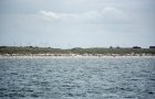 Erstaunlich hoch, die Windmhlen an Land!